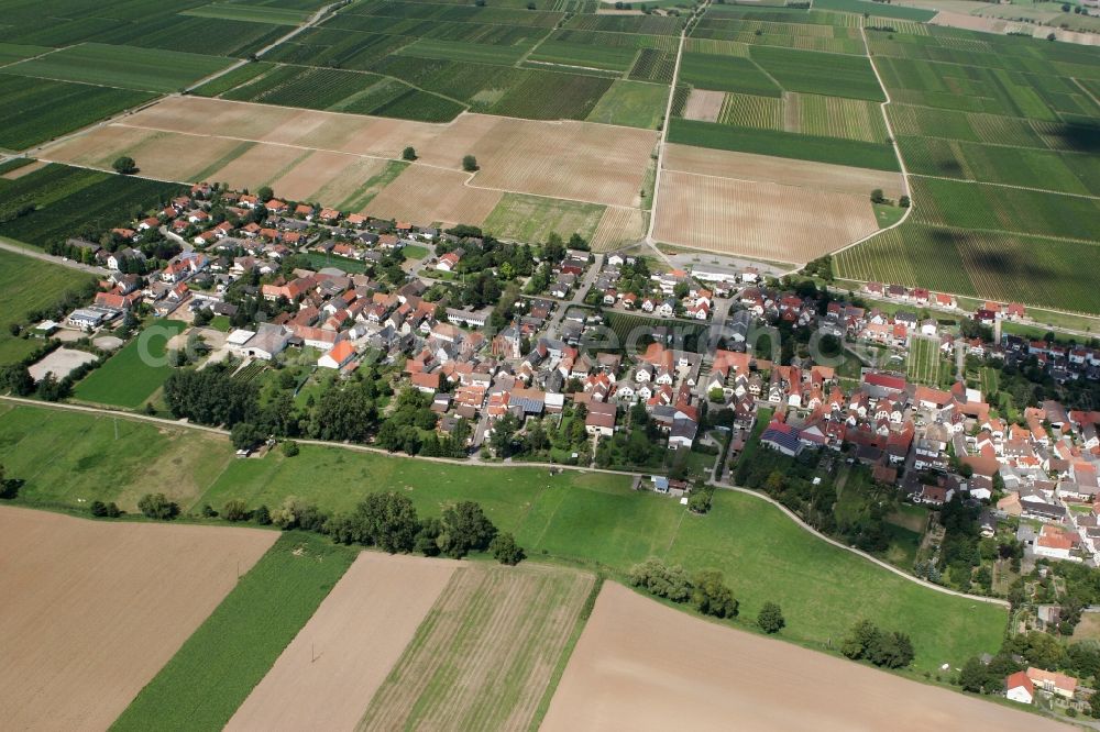 Duttweiler from above - Neustadt an der Weinstraße OT Duttweiler in the state of Rhineland-Palatinate