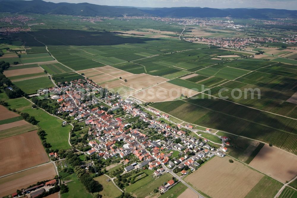 Duttweiler from above - Neustadt an der Weinstraße OT Duttweiler in the state of Rhineland-Palatinate