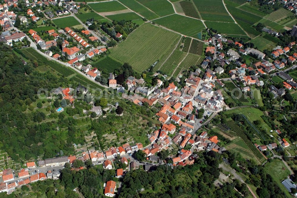 Aerial photograph Haardt - Castle Winzingen and Haardter mansion Neustadt an der Weinstraße OT Haardt in the state of Rhineland-Palatinate