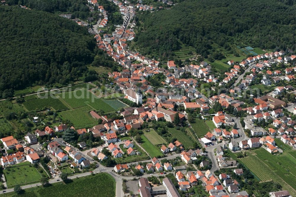 Hambach from the bird's eye view: Neustadt an der Weinstraße OT Hambach with Oberhambach in the state of Rhineland-Palatinate