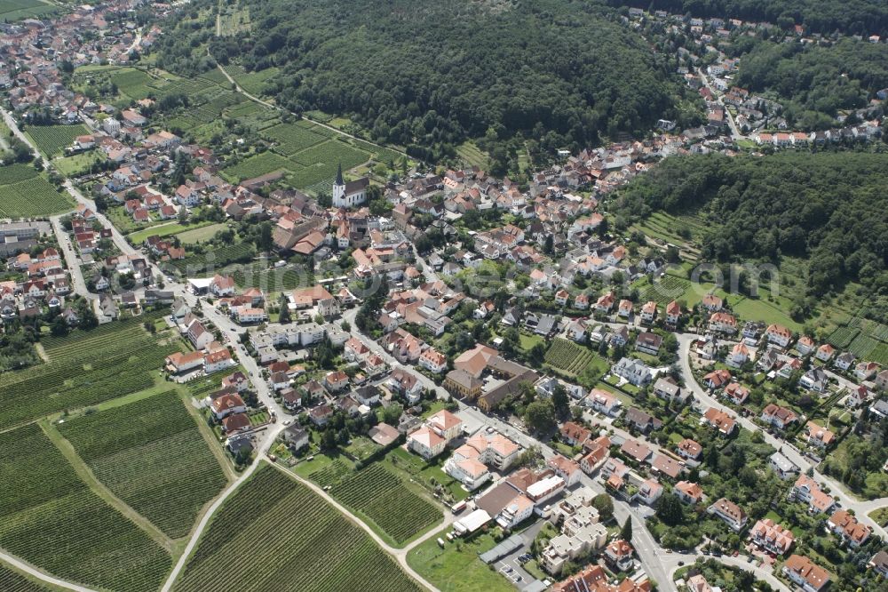 Hambach from the bird's eye view: Neustadt an der Weinstraße OT Hambach with Oberhambach in the state of Rhineland-Palatinate