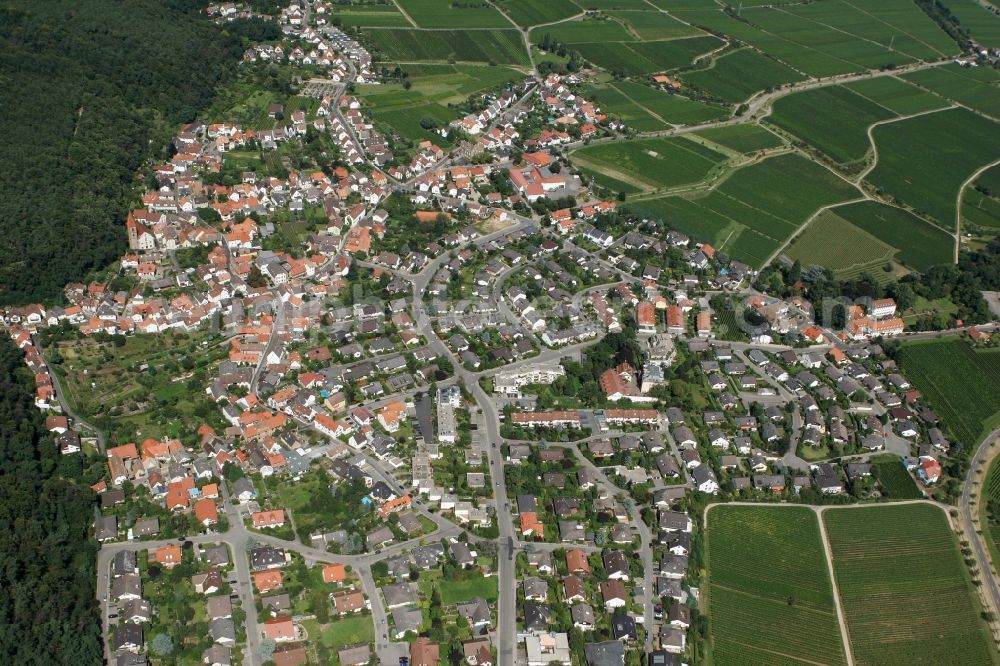 Aerial image Königsbach - Neustadt an der Weinstraße OT Koenigsbach in the state of Rhineland-Palatinate