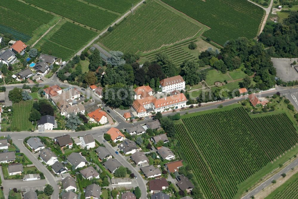 Aerial photograph Königsbach - Neustadt an der Weinstraße OT Koenigsbach in the state of Rhineland-Palatinate