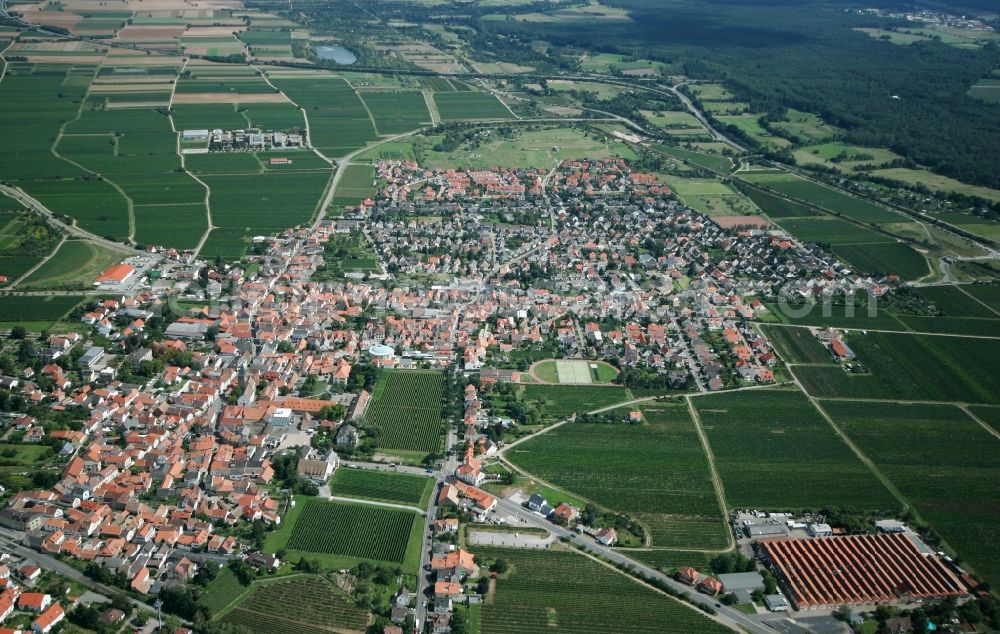 Aerial image Mußbach - Neustadt an der Weinstraße OT Mussbach in the state of Rhineland-Palatinate