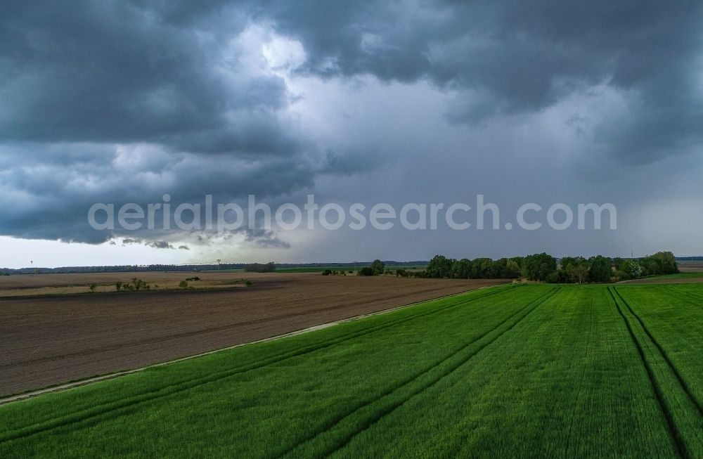 Aerial photograph Jacobsdorf - Rain clouds with falling precipitation for the natural irrigation of the agricultural fields in Jacobsdorf in the state Brandenburg, Germany