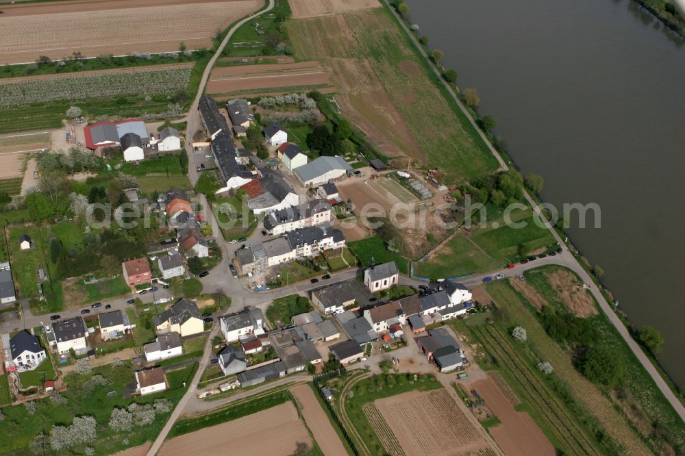 Trier Zewen from above - The small town of Oberkirch with farms, houses and church. The village lies on the river Mosel in the local district Zewen in Trier in Rhineland-Palatinate