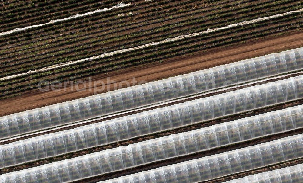 Aerial photograph Herbsleben - Fruit and vegetable cultivation in greenhouses of Agriculture in Herbsleben in the state of Thuringia