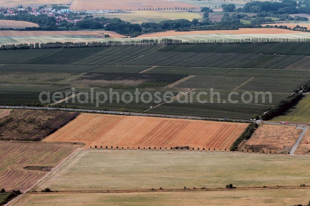 Aerial photograph Gierstädt - Fruit growing area Fahner Hoehe with fruit plantation in Gierstaedt in Thuringia