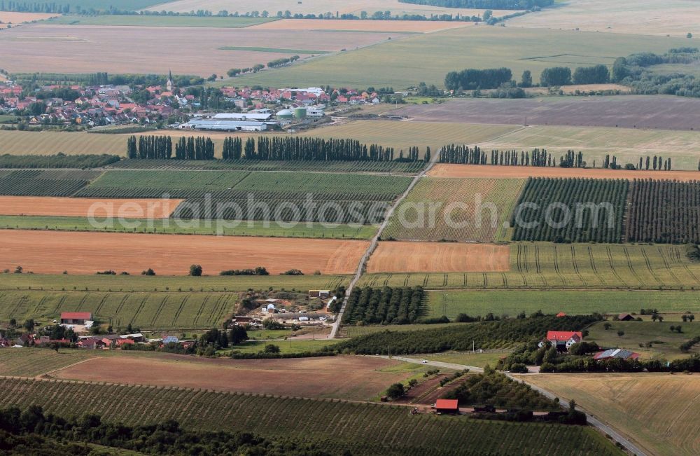 Aerial photograph Gierstädt - Fruit growing area Fahner Hoehe with fruit plantation in Gierstaedt in Thuringia