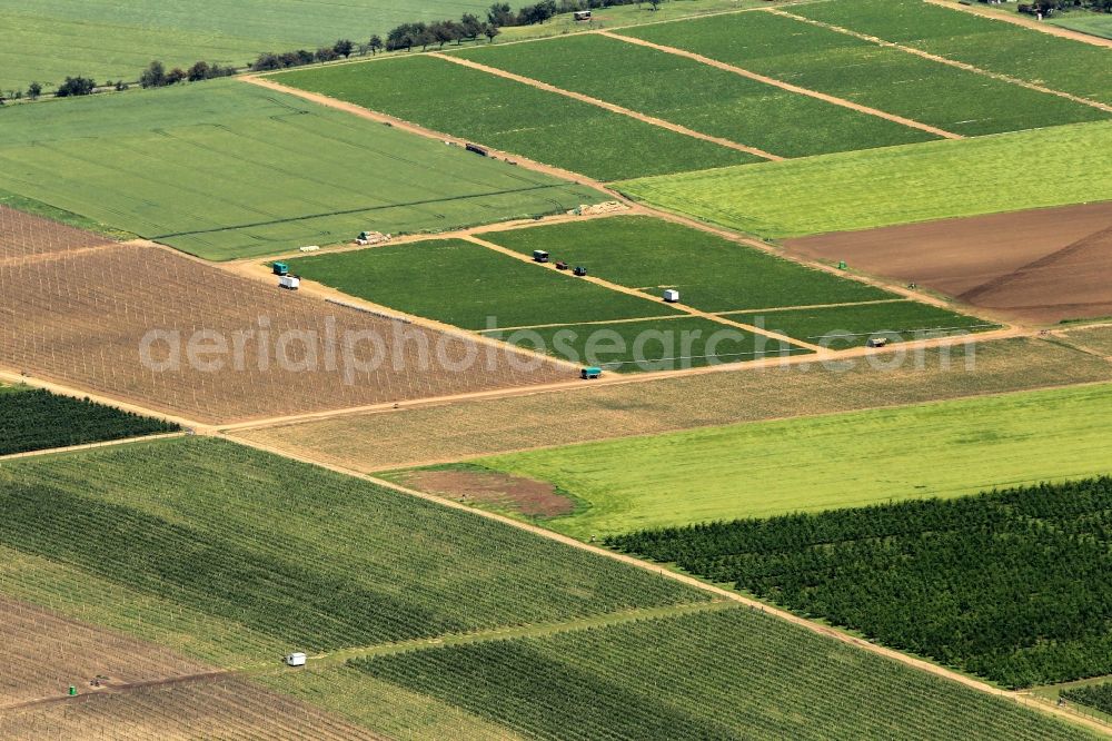 Aerial image Kindelbrück - South of Kindelbrueck in Thuringia are large orchards of fruit-growing company Kindel jumper