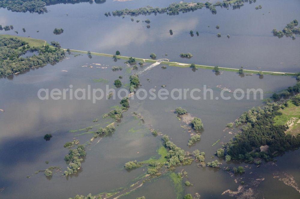 Schwedt from above - Oderhochwasser 2010.