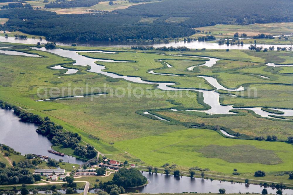 Aerial photograph Schwedt / Oder - Nationalpark unteres Odertal östlich von Schwedt, Blick in Richtung Polen. Oder Valley National Park east of Schwedt.