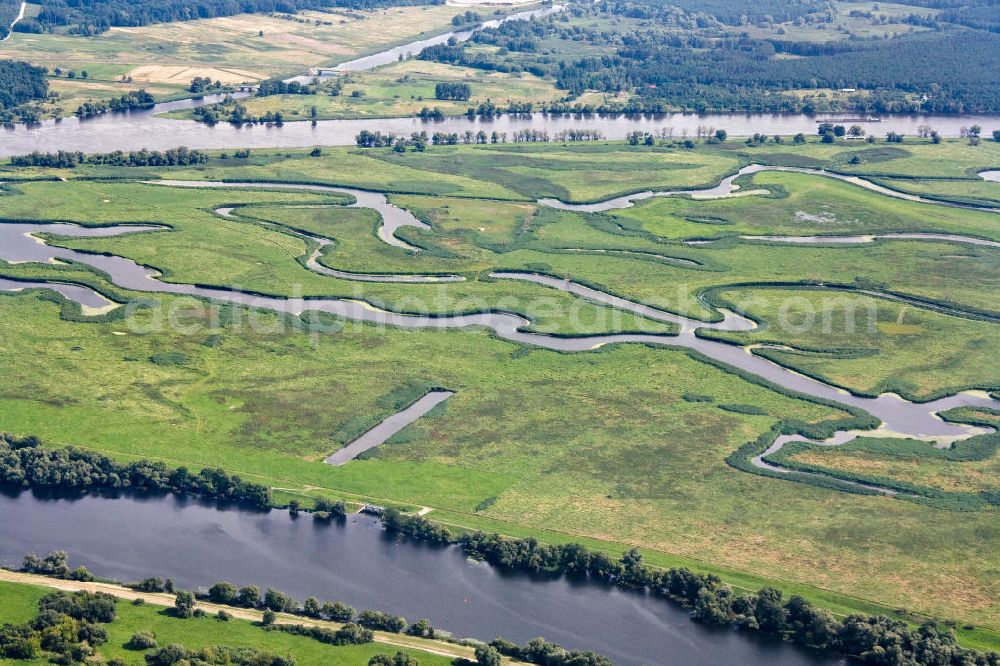 Aerial image Schwedt / Oder - Nationalpark unteres Odertal östlich von Schwedt, Blick in Richtung Polen. Oder Valley National Park east of Schwedt.