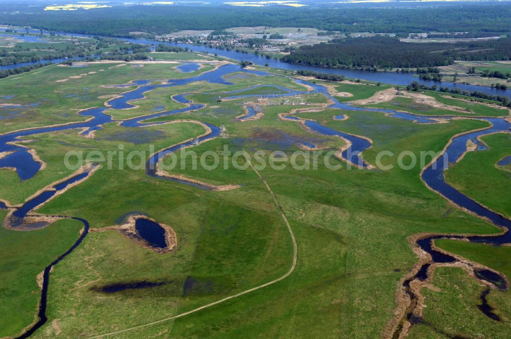 SCHWEDT / ODER from the bird's eye view: Blick auf die Oderwiesen und den Oder Uferbereich am Grenzübergang Schwedt an der Oder.