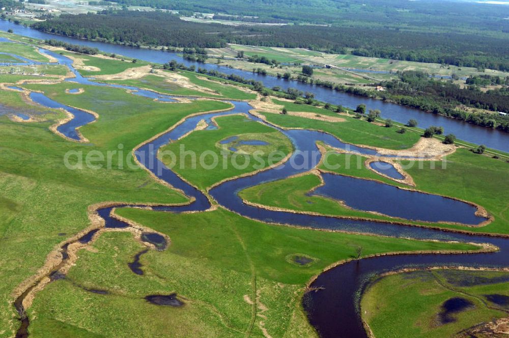 Aerial image SCHWEDT / ODER - Blick auf die Oderwiesen und den Oder Uferbereich am Grenzübergang Schwedt an der Oder.