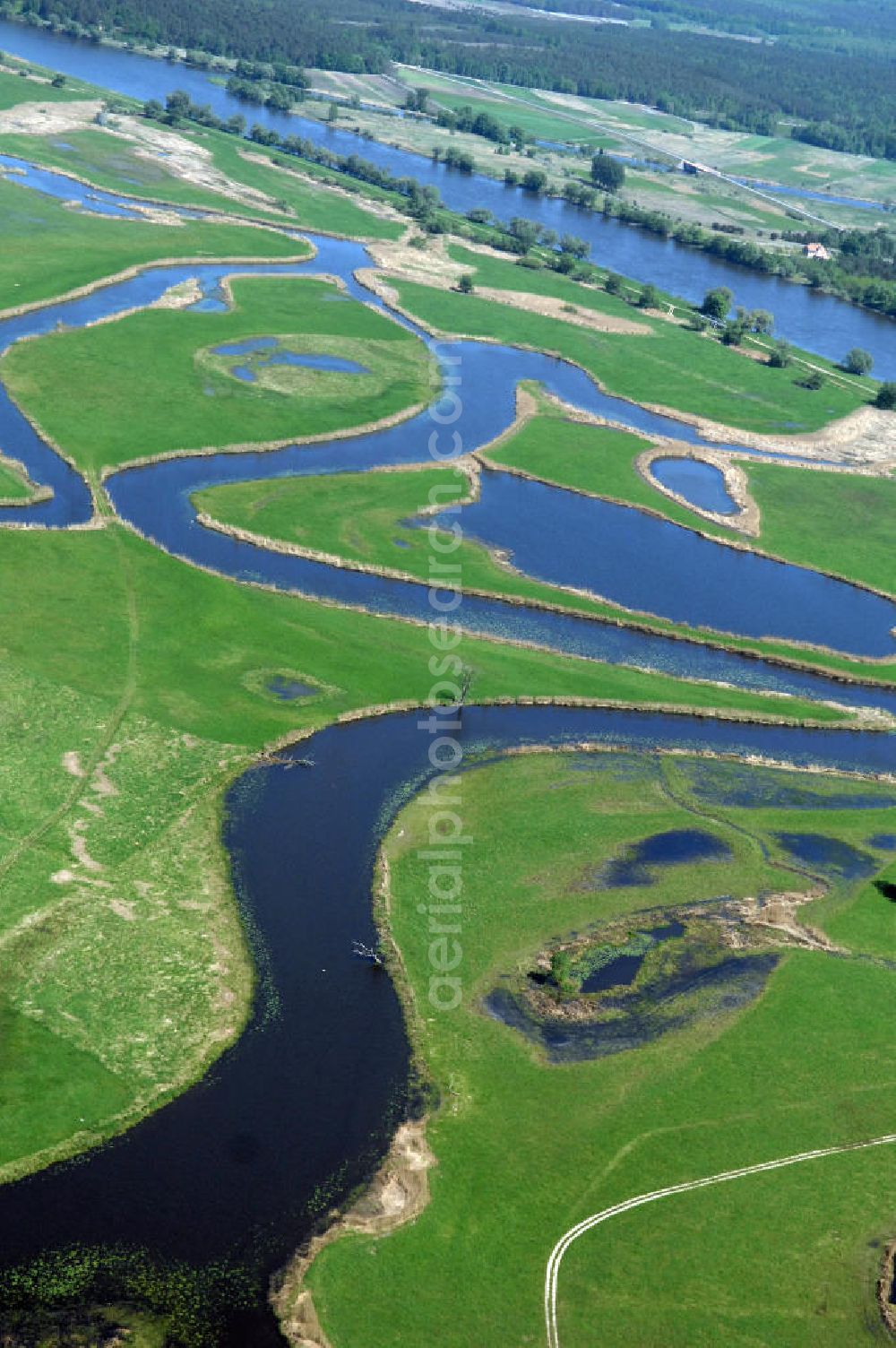 Aerial photograph SCHWEDT / ODER - Blick auf die Oderwiesen und den Oder Uferbereich am Grenzübergang Schwedt an der Oder.