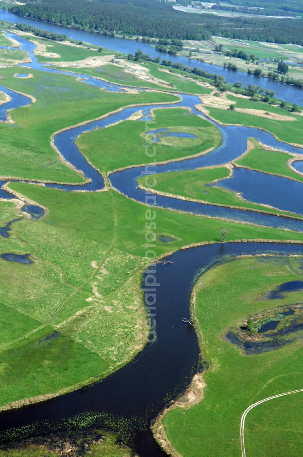 SCHWEDT / ODER from above - Blick auf die Oderwiesen und den Oder Uferbereich am Grenzübergang Schwedt an der Oder.