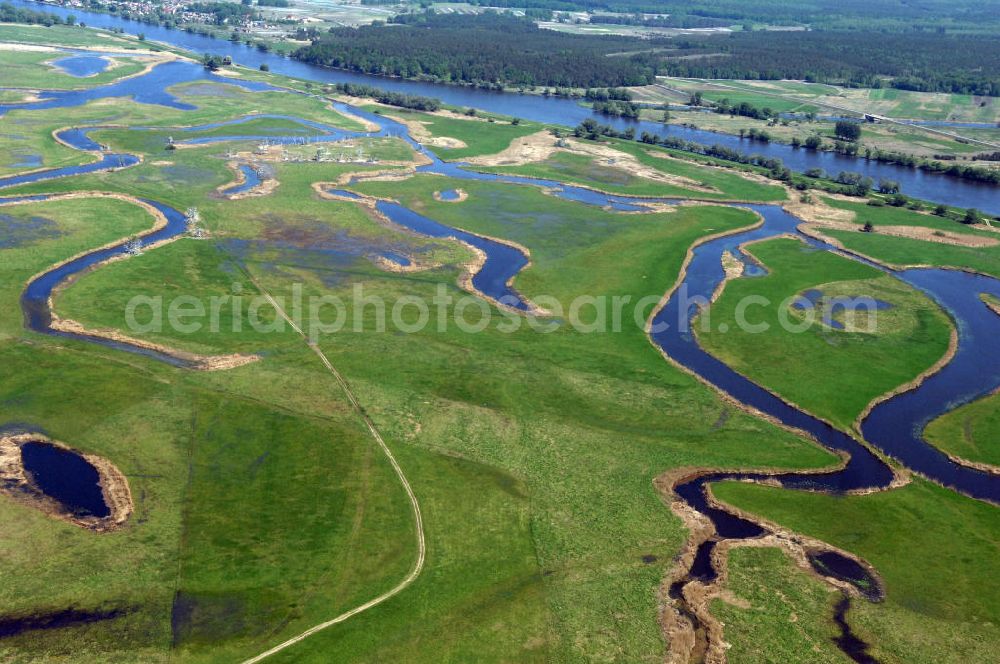 Aerial image SCHWEDT / ODER - Blick auf die Oderwiesen und den Oder Uferbereich am Grenzübergang Schwedt an der Oder.