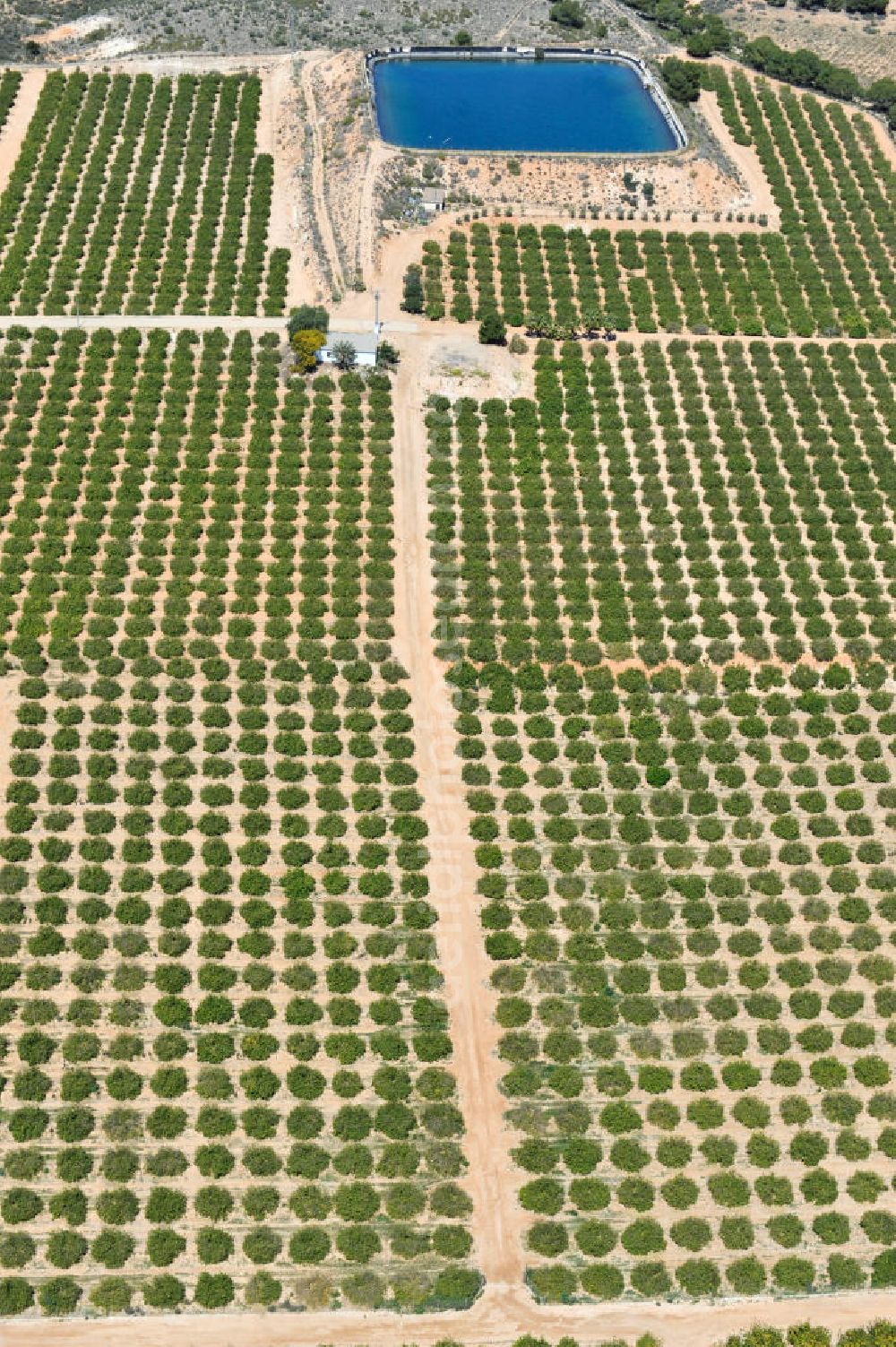 Aerial photograph Gea y Truyols - Detention reservoir on irrigation levels for the cultivation of oranges and lemons near the city Gea y Truyols in Spain