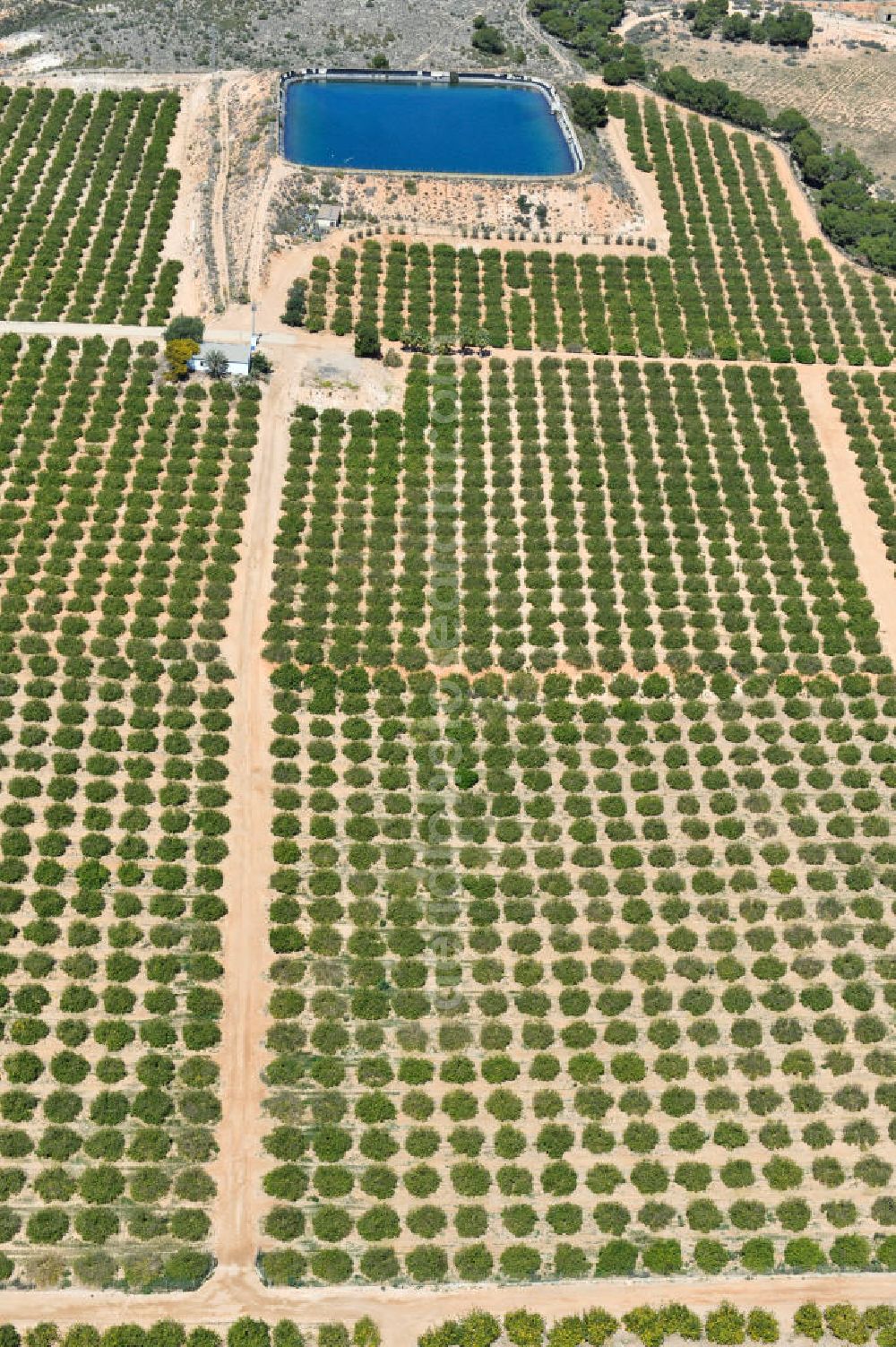 Gea y Truyols from above - Detention reservoir on irrigation levels for the cultivation of oranges and lemons near the city Gea y Truyols in Spain