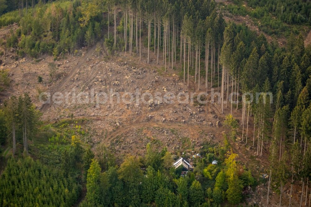 Arnsberg from the bird's eye view: Hurricane damage / land damage caused by hurricane Kyrill in a forest area near Arnsberg in the federal state of North Rhine-Westphalia, Germany