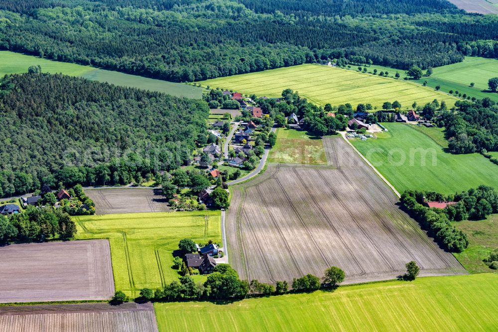 Ahlerstedt from the bird's eye view: Town View of the streets and houses of the residential areas in Ahrensmoor Ost in the state Lower Saxony, Germany