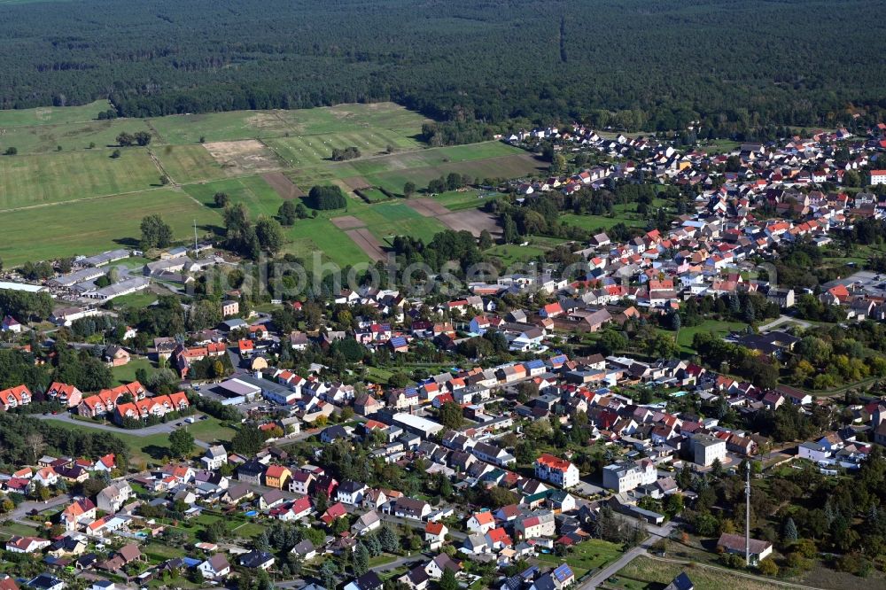 Aerial photograph Annaburg - Town View of the streets and houses of the residential areas in Annaburg in the state Saxony-Anhalt, Germany