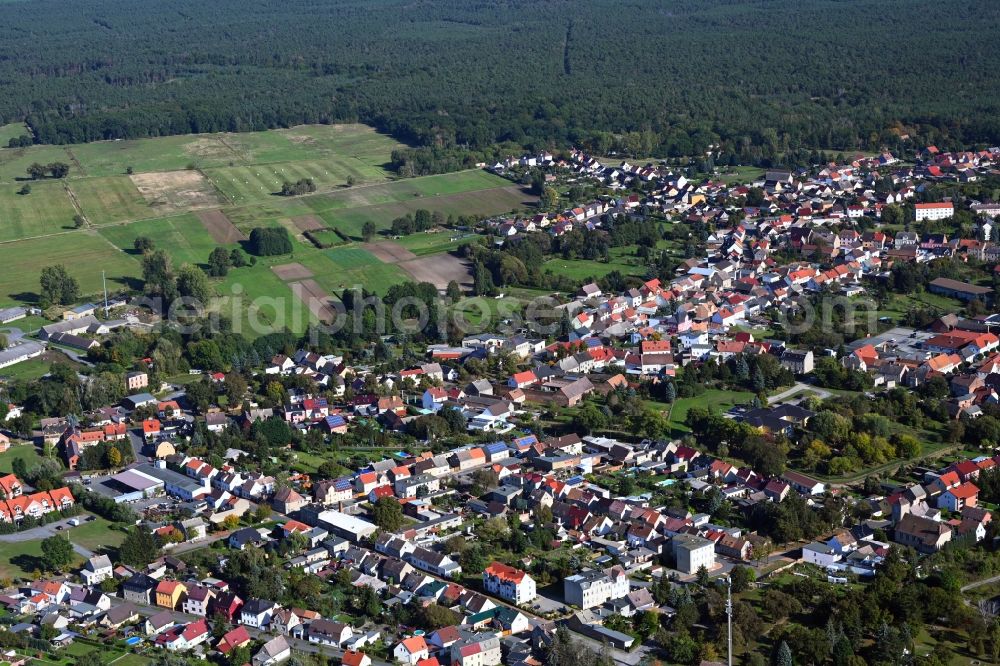 Annaburg from above - Town View of the streets and houses of the residential areas in Annaburg in the state Saxony-Anhalt, Germany