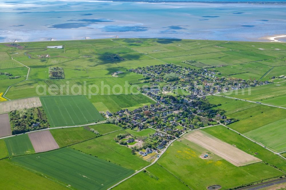 Archsum from above - Town View of the streets and houses of the residential areas in Archsum at the island Sylt in the state Schleswig-Holstein, Germany