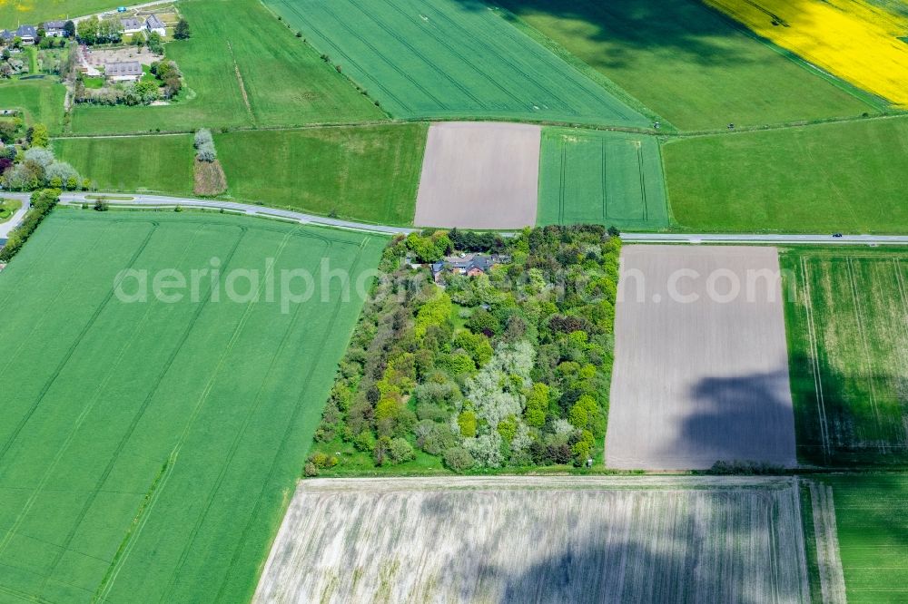 Archsum from the bird's eye view: Town View of the streets and houses of the residential areas in Archsum at the island Sylt in the state Schleswig-Holstein, Germany