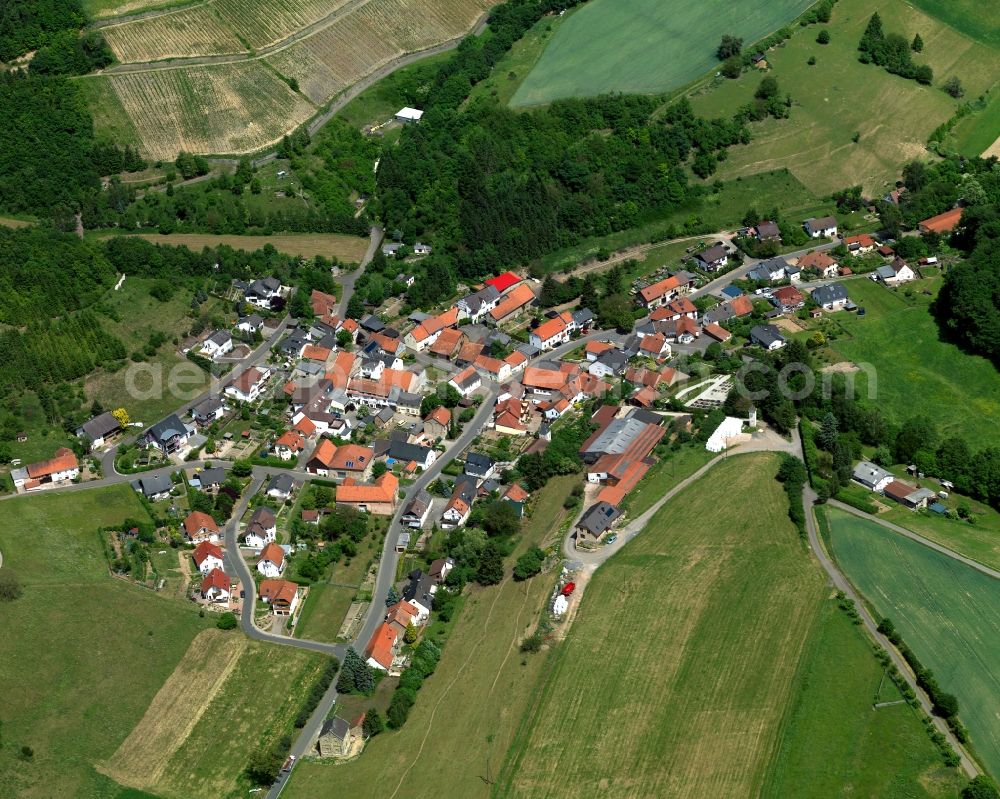 Auen from above - Townscape of Auen in the state of Rhineland-Palatinate