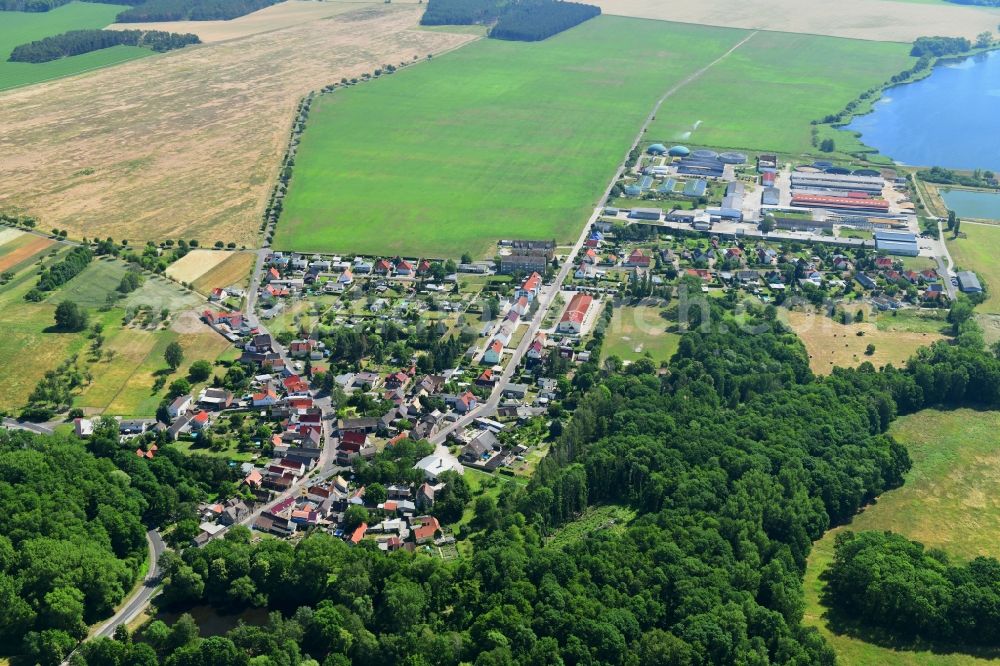 Badrina from above - Town View of the streets and houses in Badrina in the state Saxony, Germany