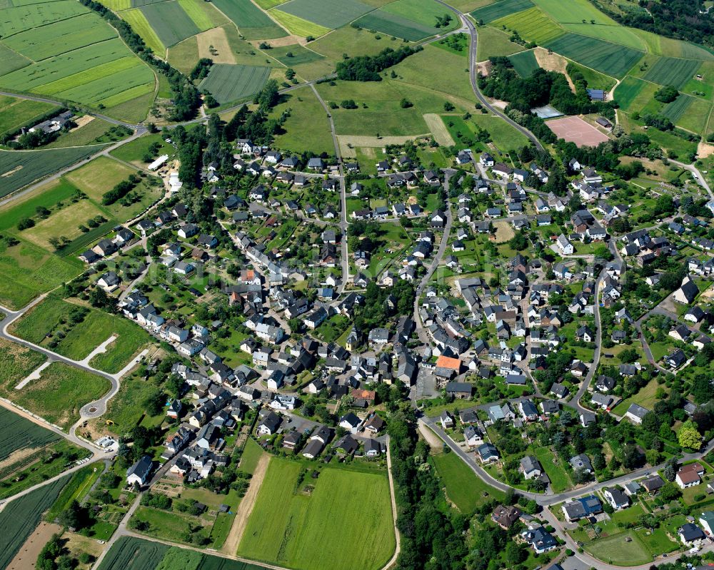 Biebernheim from the bird's eye view: Town View of the streets and houses of the residential areas in Biebernheim in the state Rhineland-Palatinate, Germany