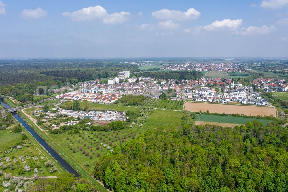 Blankenloch-Büchig from the bird's eye view: Town View of the streets and houses of the residential areas in Blankenloch-Buechig in the state Baden-Wuerttemberg, Germany