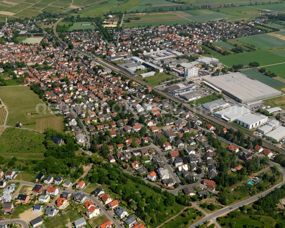 Aerial photograph Bodenheim - View at Bodenheim in the state of Rhineland-Palatinate. Bodenheim is located along the Rhine and the border of the states of Rhineland Palatinate and Hesse