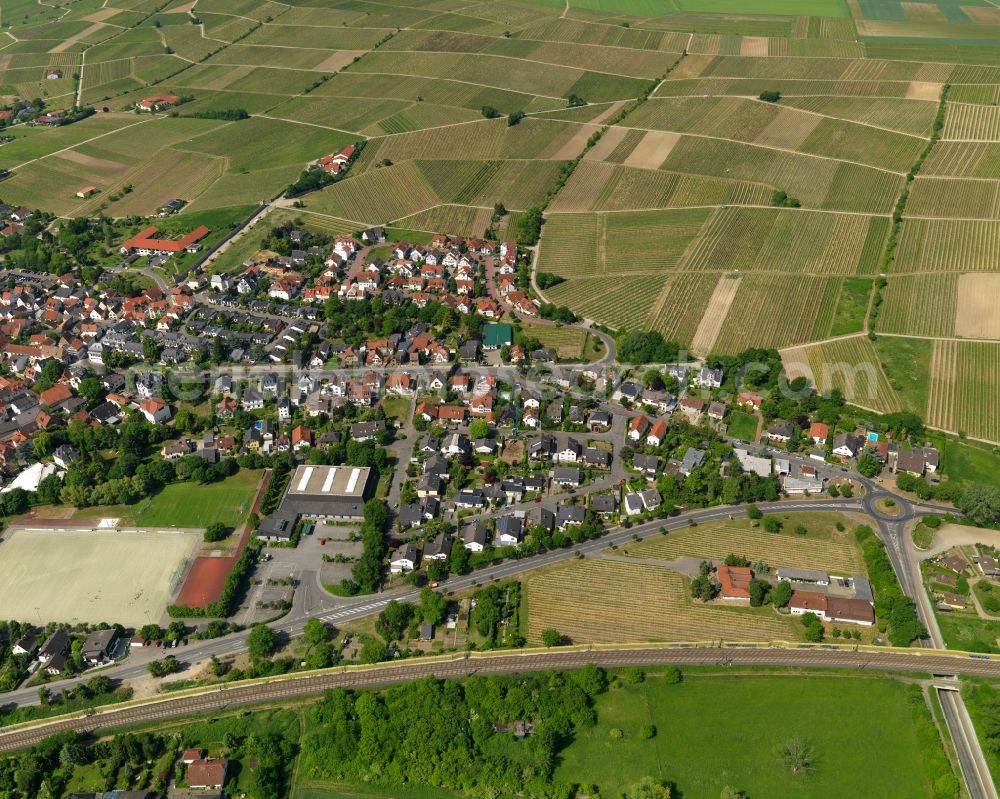 Aerial photograph Bodenheim - View at Bodenheim in the state of Rhineland-Palatinate. Bodenheim is located along the Rhine and the border of the states of Rhineland Palatinate and Hesse