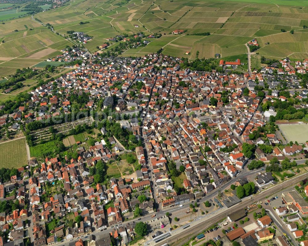 Aerial image Bodenheim - View at Bodenheim in the state of Rhineland-Palatinate. Bodenheim is located along the Rhine and the border of the states of Rhineland Palatinate and Hesse