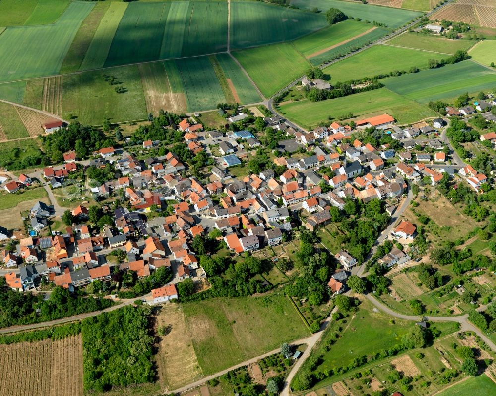 Aerial image Braunweiler - View of Braunweiler in the state of Rhineland-Palatinate. Braunweiler is a borough and municipiality in the county district of Bad Kreuznach. It is located on a hill amidst vineyards. Its elongated shape is widely visible and characteristic