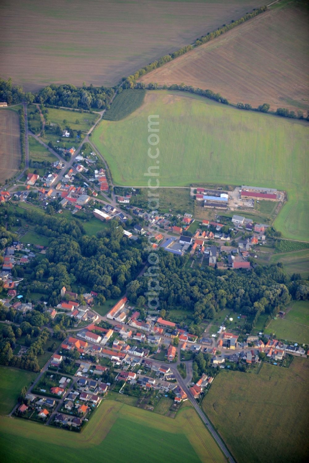 Aerial photograph Cörmigk - View of Coermigk in the state of Saxony-Anhalt. A wooded area is located in the core of the village which is surrounded by agricultural fields