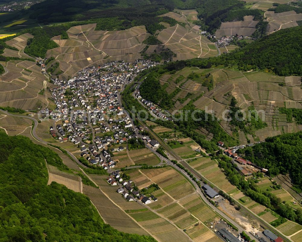 Aerial photograph Dernau - View of Dernau in the state of Rhineland-Palatinate. Dernau is a borough on the Northern riverbank of a bend of the river Ahr. The official tourism locality is located on a steep slope on the edge of the Ahr Mountain Range