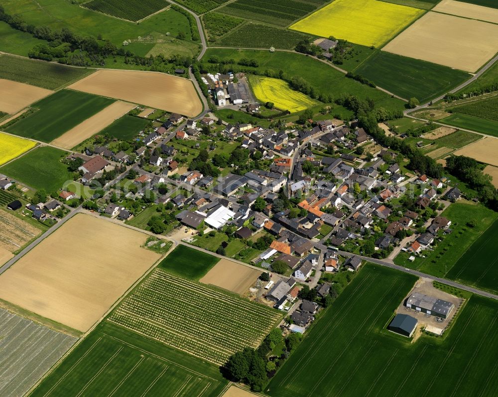 Grafschaft from the bird's eye view: View of the Eckendorf part of Grafschaft in the state of Rhineland-Palatinate. Eckendorf is one of eleven districts of the borough and is located in the North of the federal motorway A61. Swistbach creek takes its course past residential buildings and farms of the agricultural locality