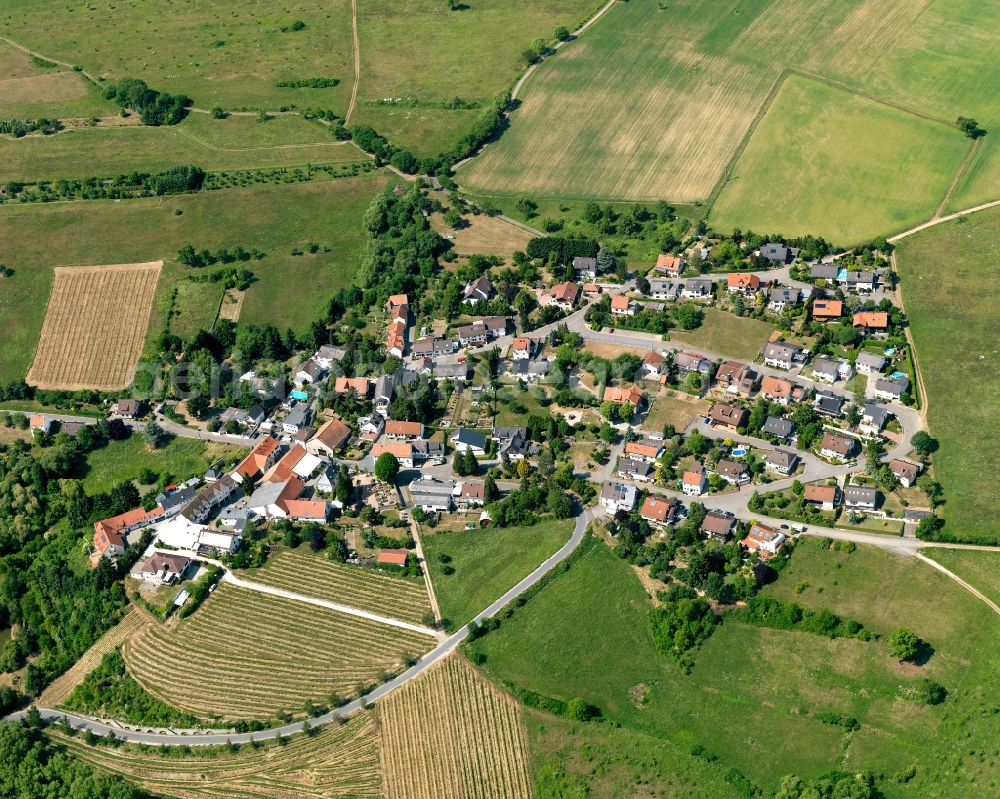 Eckenroth from above - District view of Eckenroth in the state Rhineland-Palatinate