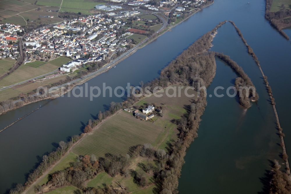 Erbach, Insel Mariannenaue from the bird's eye view: Local view of Erbach an the island Mariannenisland in the state of Hesse