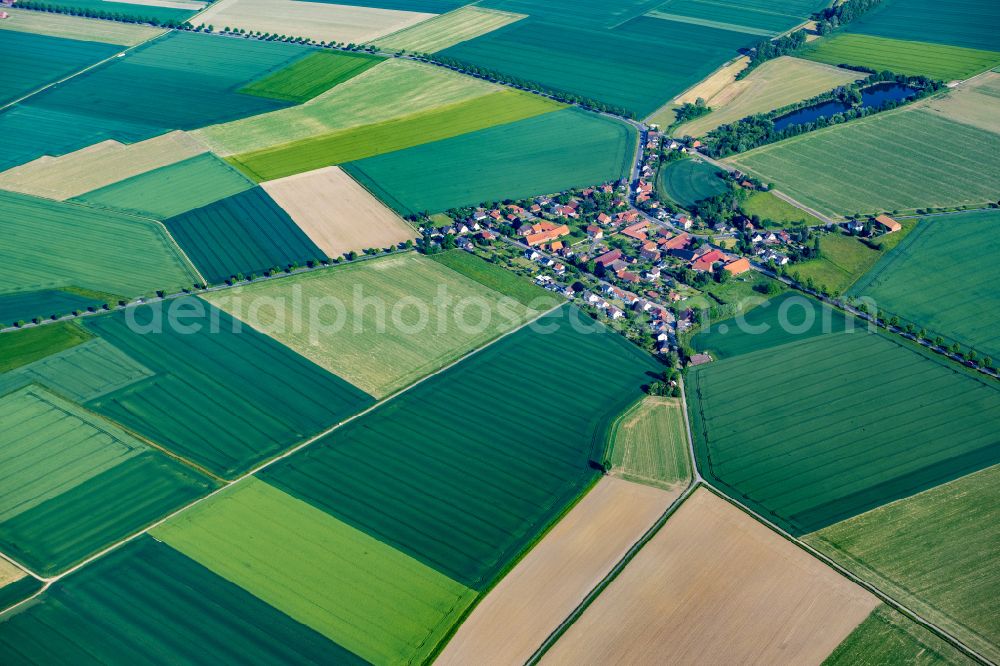 Aerial photograph Schellerten - Town View of the streets and houses of the residential areas in Schellerten in the state Lower Saxony, Germany