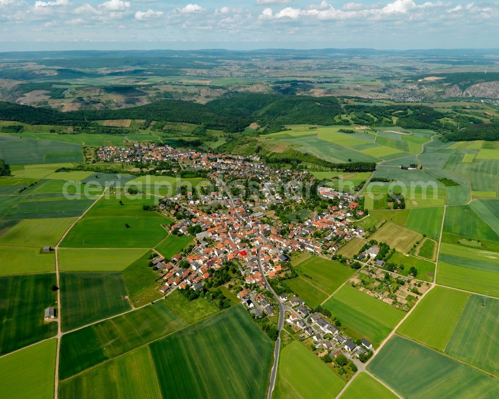 Aerial photograph Feilbingert - View of the borough of Feilbingert in the state of Rhineland-Palatinate. The municipiality is located on the edge of the North Palatinate Mountains amidst vineyards and forest. The agricultural village with its single family houses and farms has been on site since the 11th century