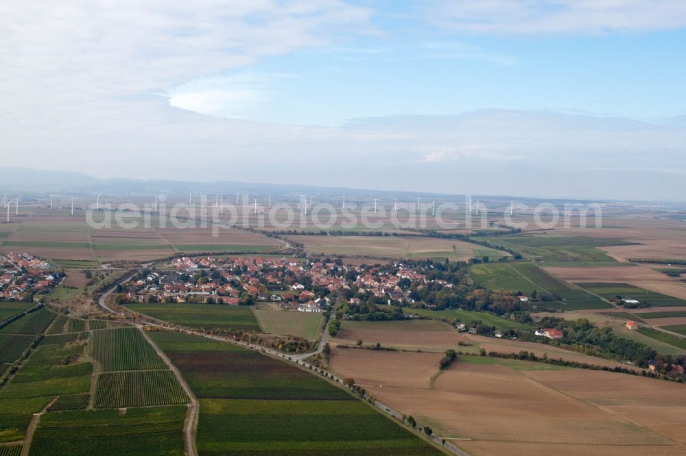 Aerial image Flomborn - Town View of the streets and houses of the residential areas in Flomborn in the state Rhineland-Palatinate