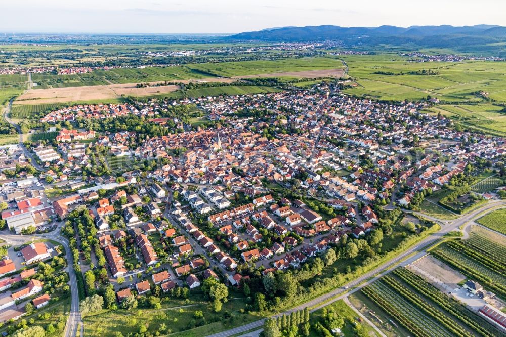 Aerial photograph Freinsheim - Town View of the streets and houses of the residential areas in Freinsheim in the state Rhineland-Palatinate, Germany