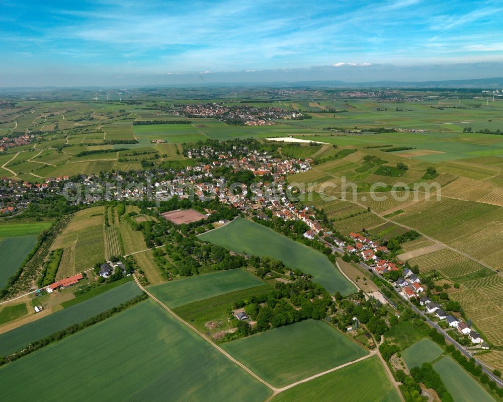 Aerial image Gau-Bischofsheim - Townscape of Gau-Bischofsheim in Rhineland-Palatinate