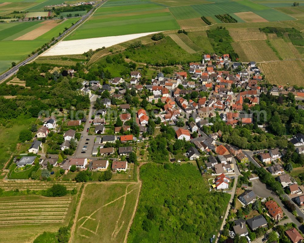 Gau-Bischofsheim from the bird's eye view: Townscape of Gau-Bischofsheim in Rhineland-Palatinate