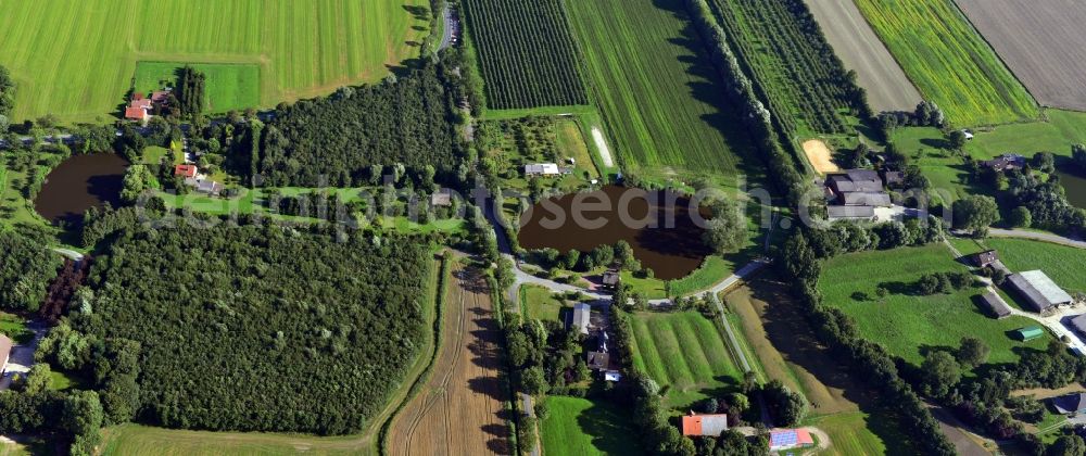 Aerial photograph Hörne - Townscape with homesteads and farms in Horns in Lower Saxony